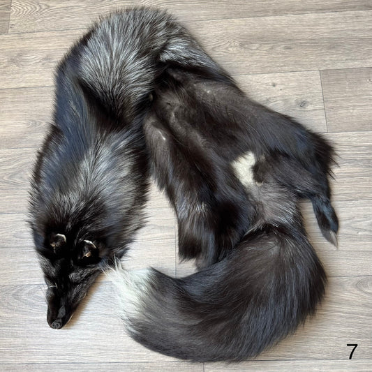 Silver fox pelt (7)