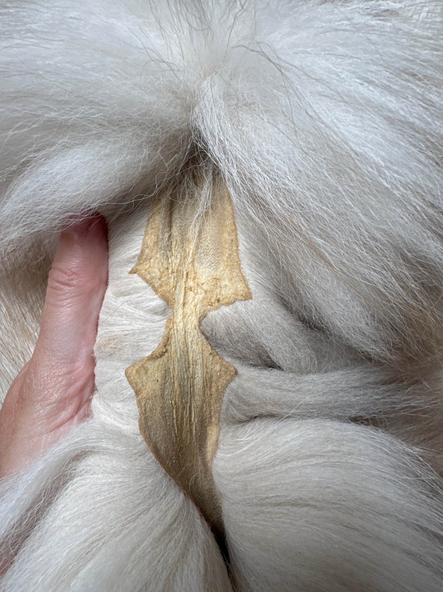 Smokey Snow Glow fox pelt (2)