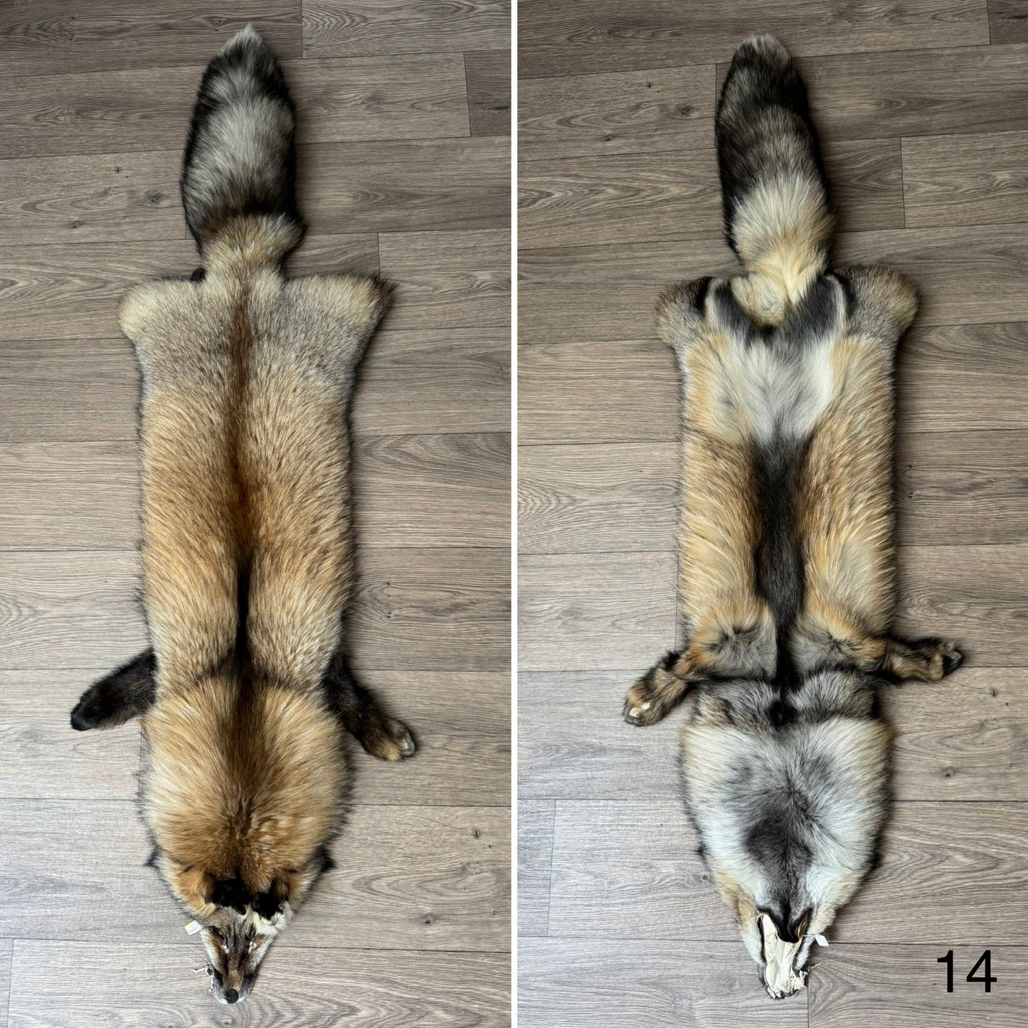 Smokey fox pelt (14)