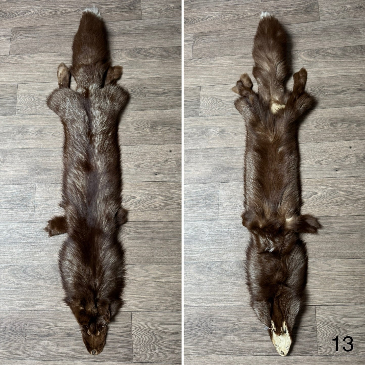 Burgundy fox pelt (13)