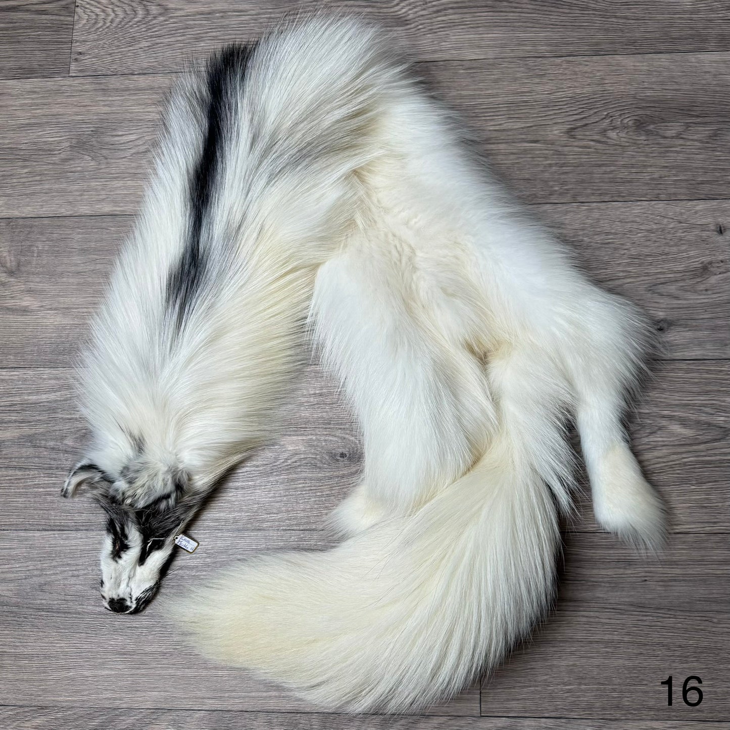 Cross Marble fox pelt (16)