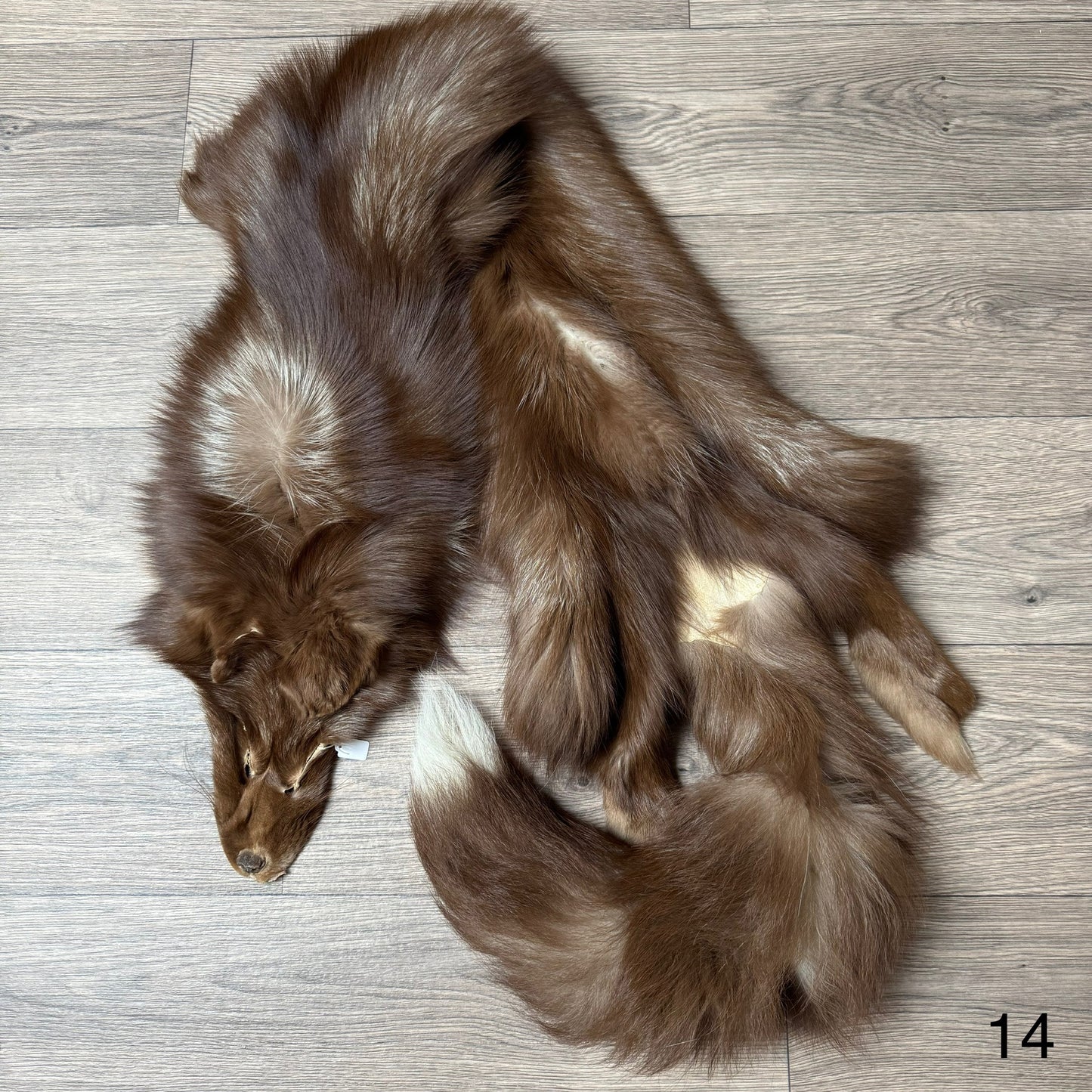 Burgundy fox pelt (14)