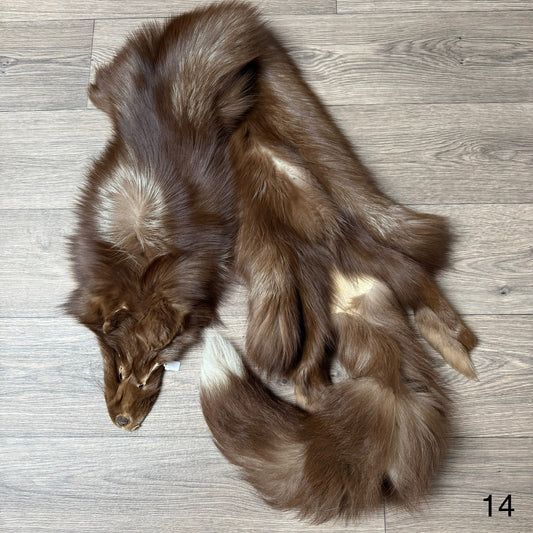 Burgundy fox pelt (14)