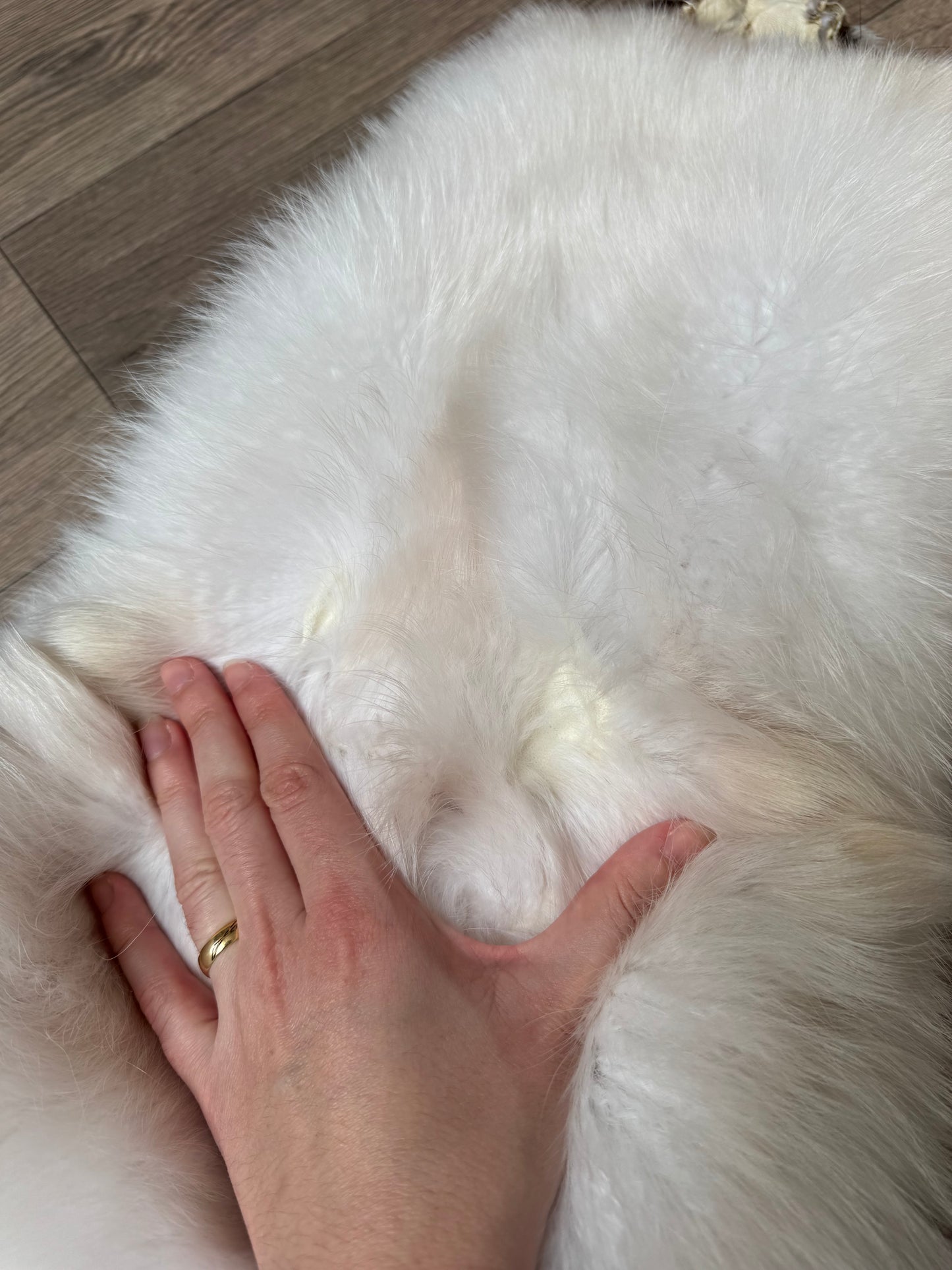 Marble tanuki pelt (12)