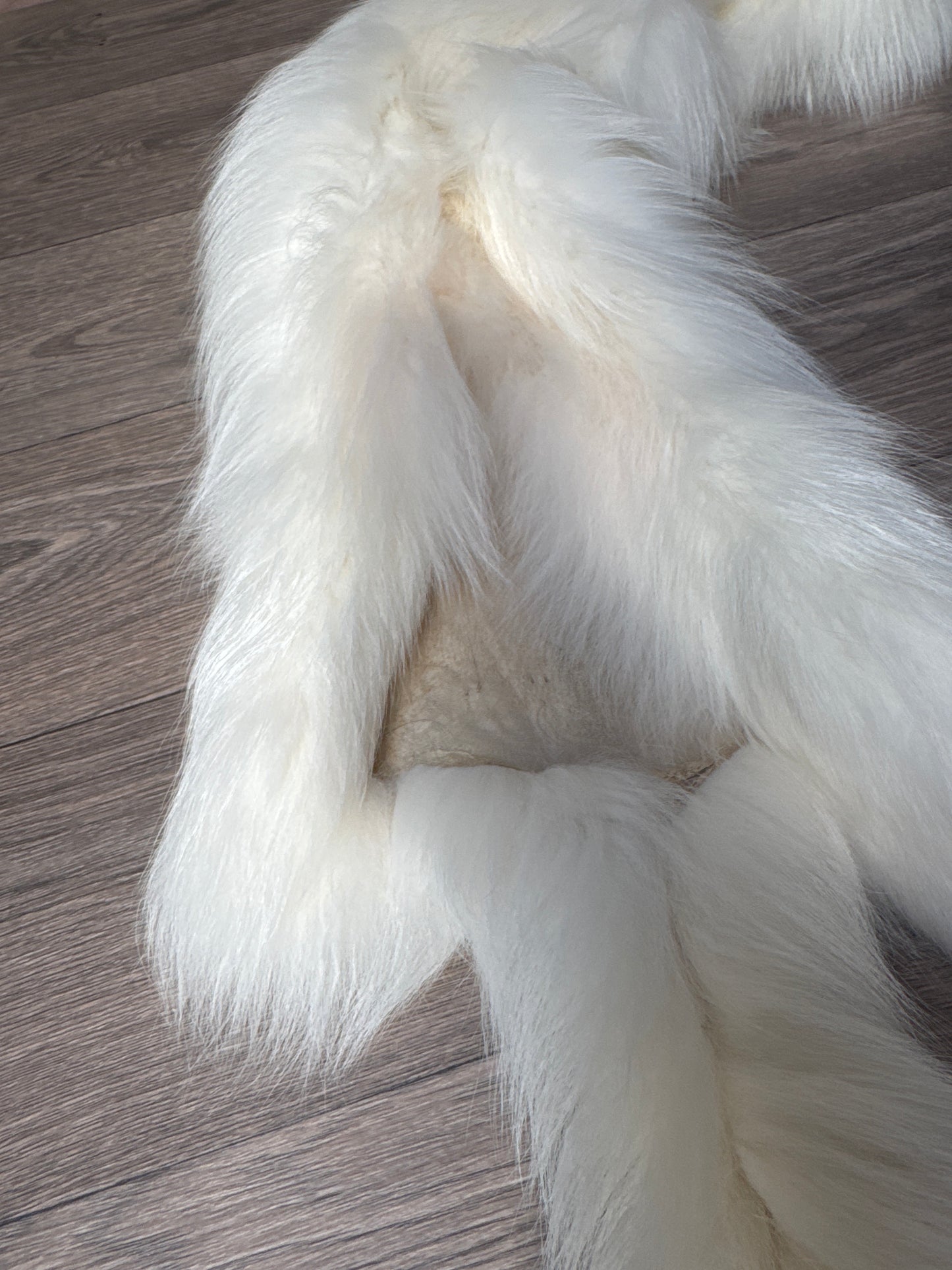 Cross Marble fox pelt (8)