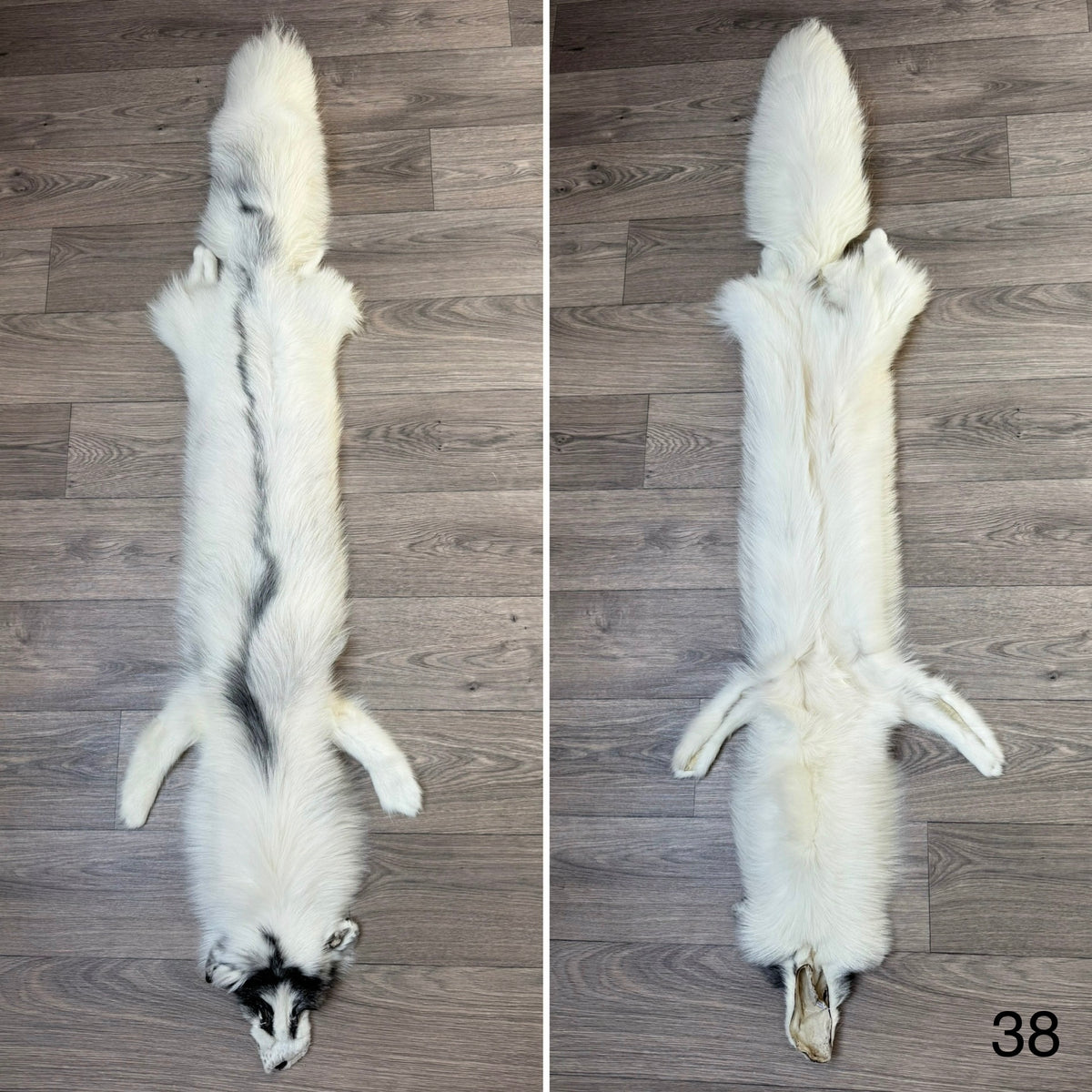 Arctic Marble fox pelt (38)