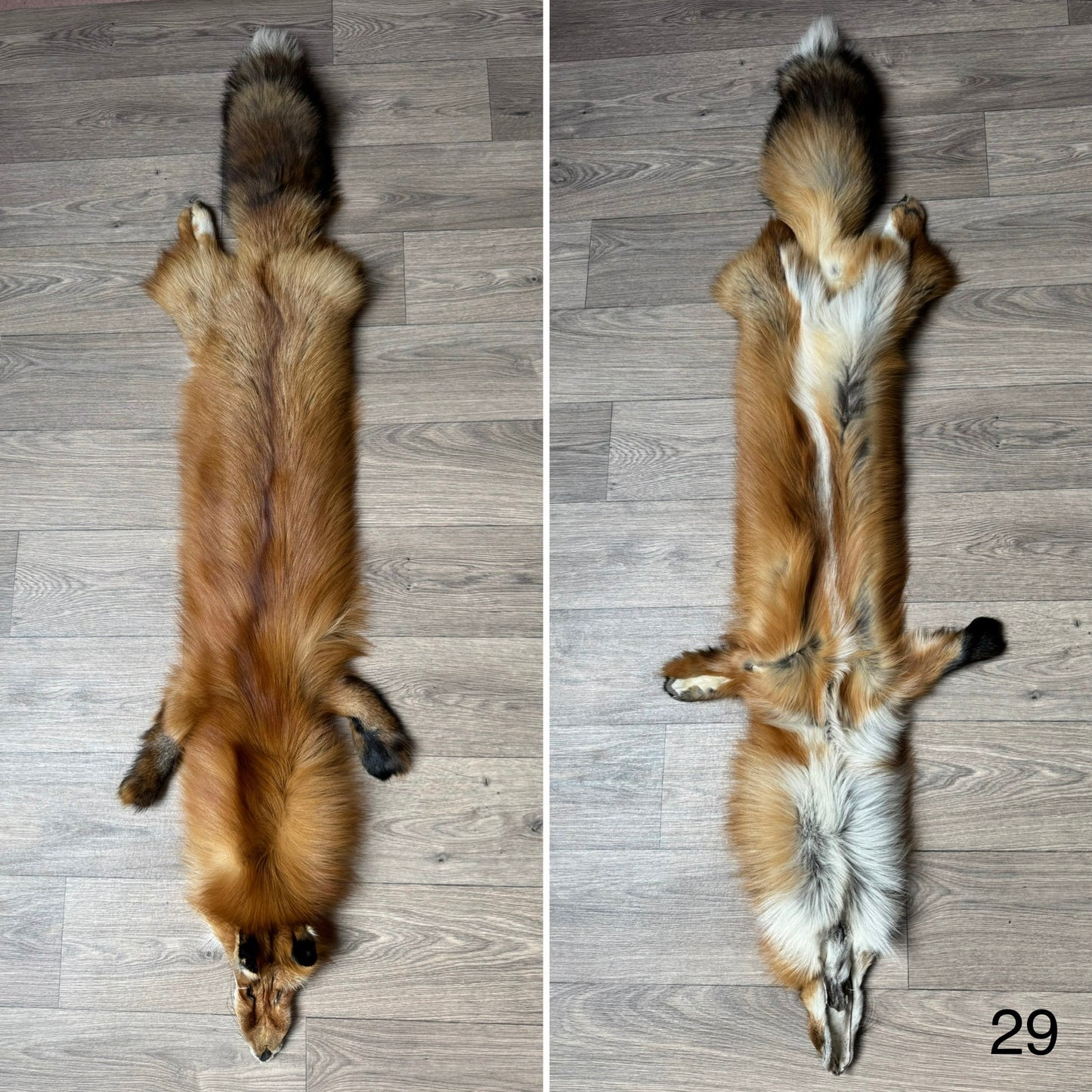 Gold fox pelt (29)