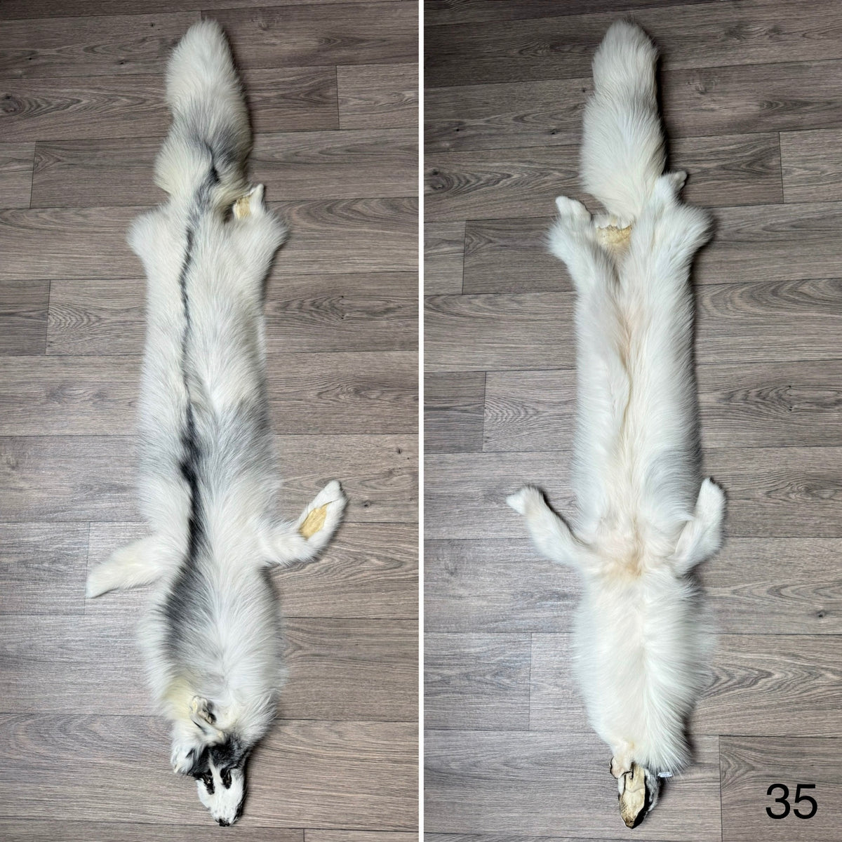 Arctic Marble fox pelt (35)