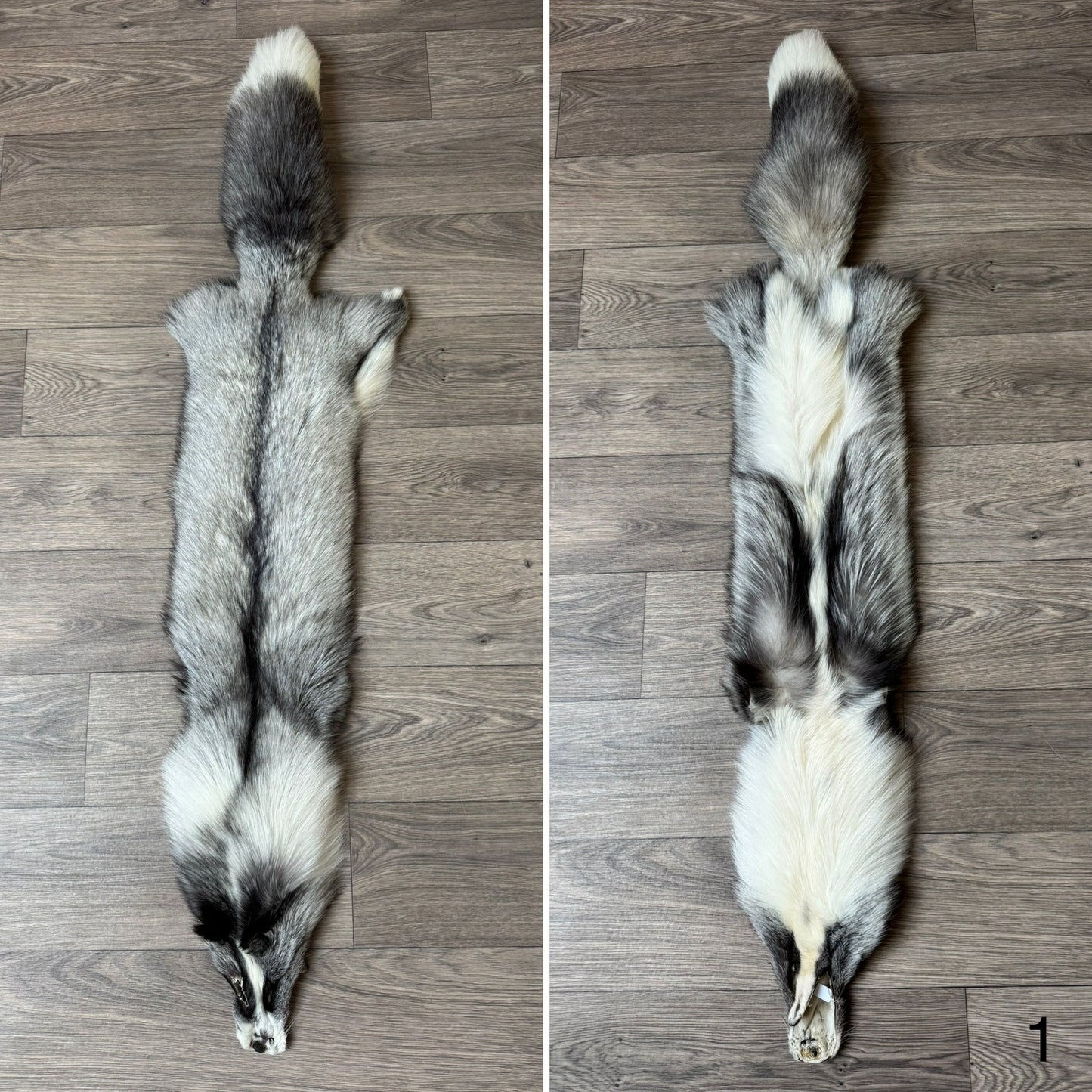 Platinum fox pelt (1)