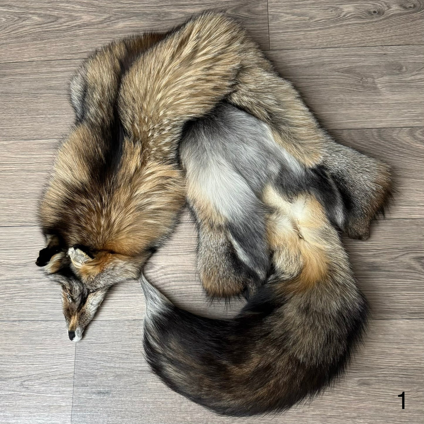Smokey fox pelt (1)