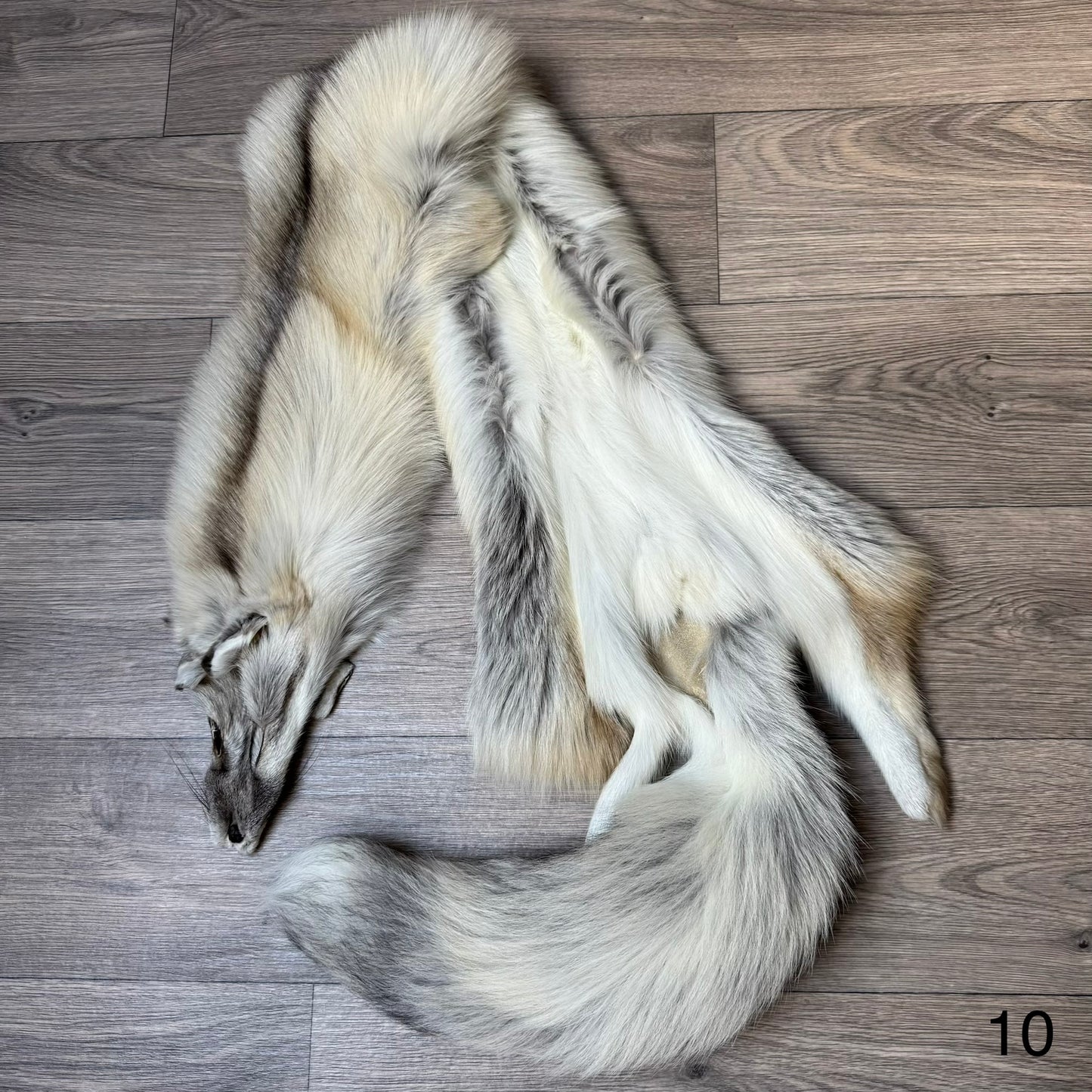 Fawn Light fox pelt (10)