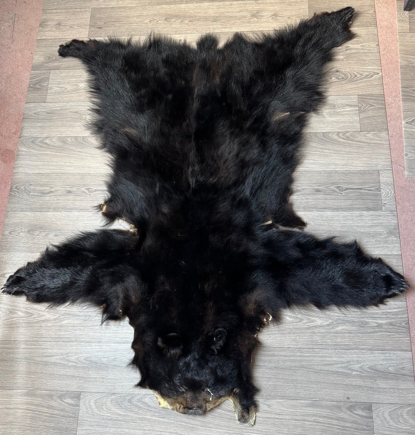 Black bear hide (3)
