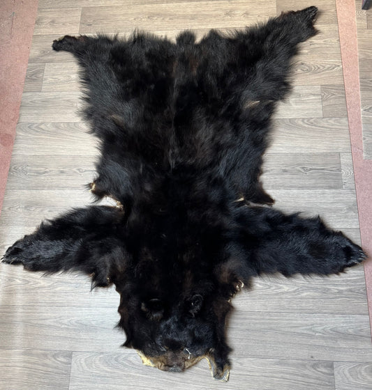 Black bear hide (3)