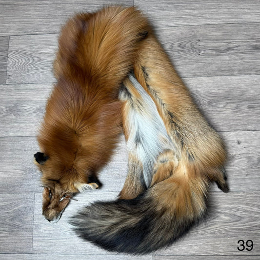 Gold fox pelt (39)