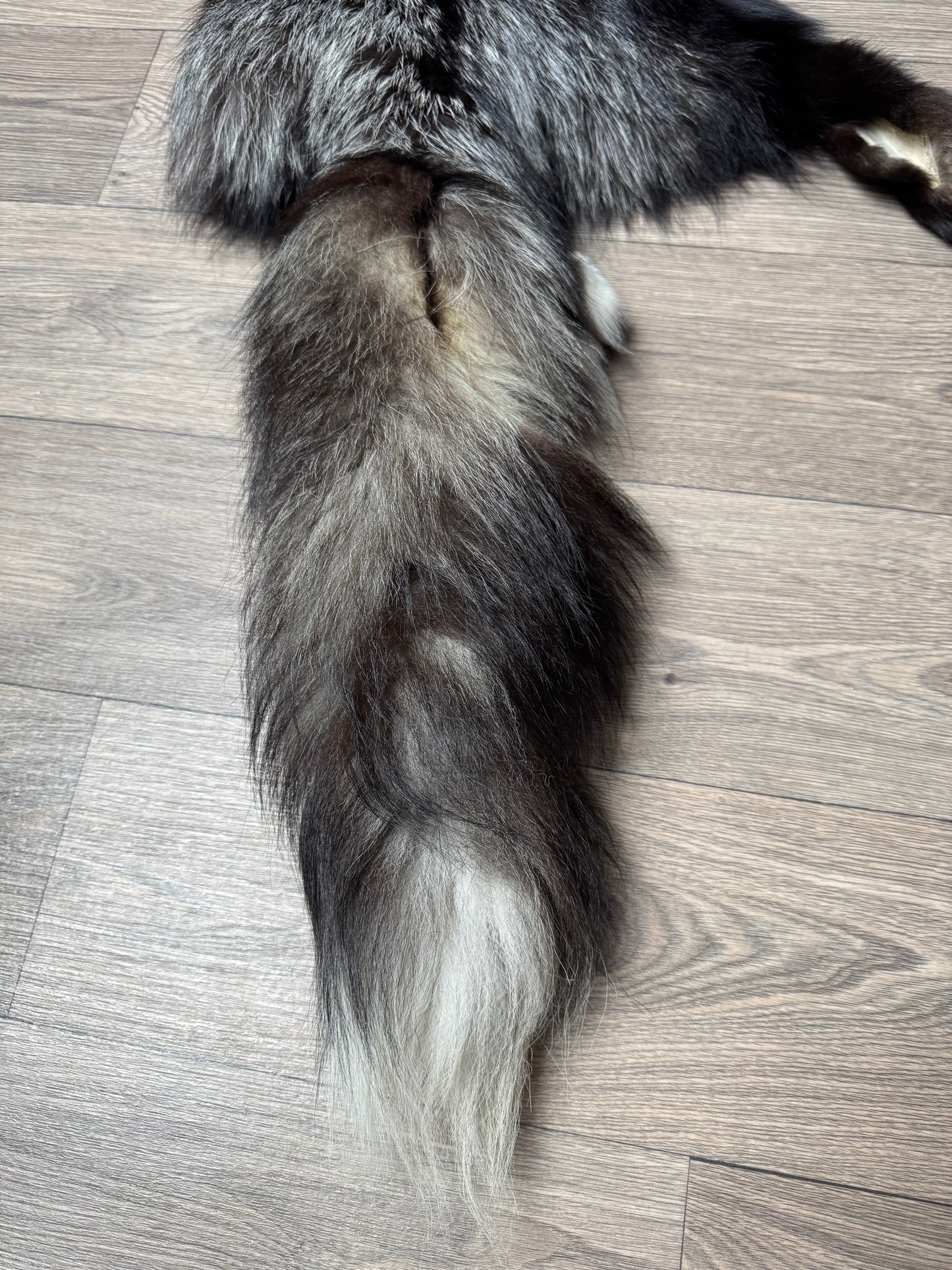 Silver fox pelt (22)