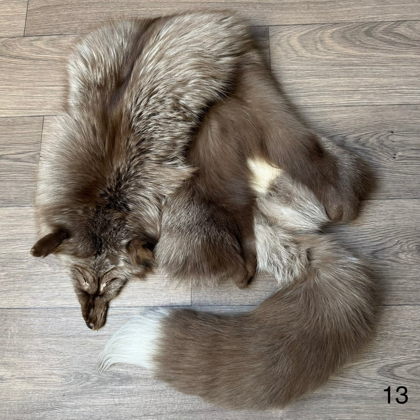 Polish Pastel fox pelt (13)