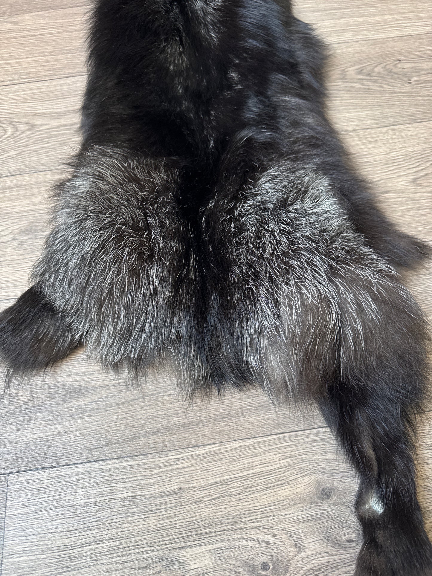 Silver fox pelt (10)