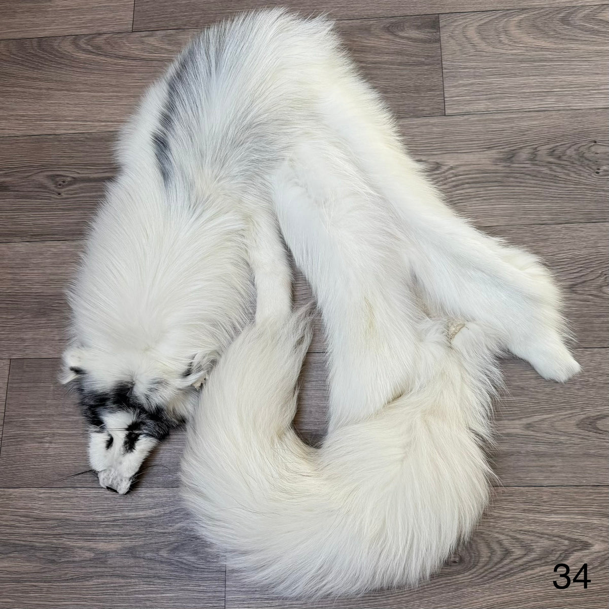 Arctic Marble fox pelt (34)