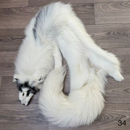 Arctic Marble fox pelt (34)