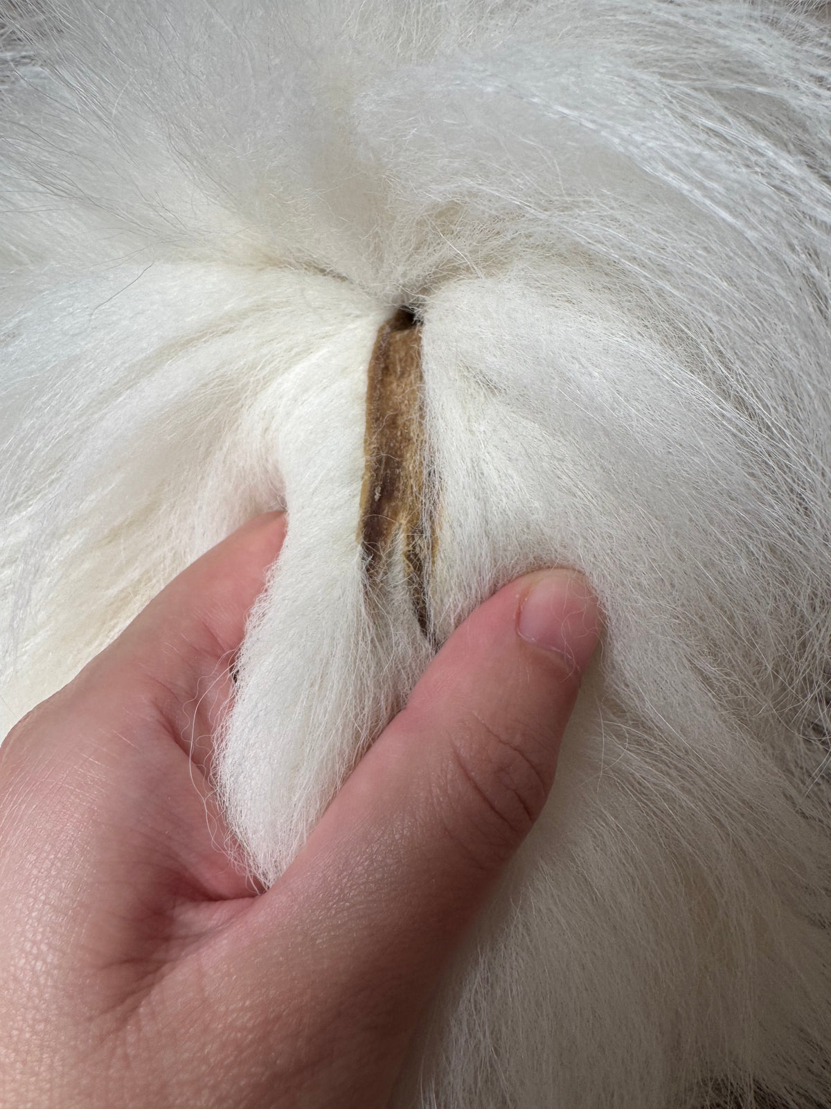 Arctic Marble fox pelt (24)