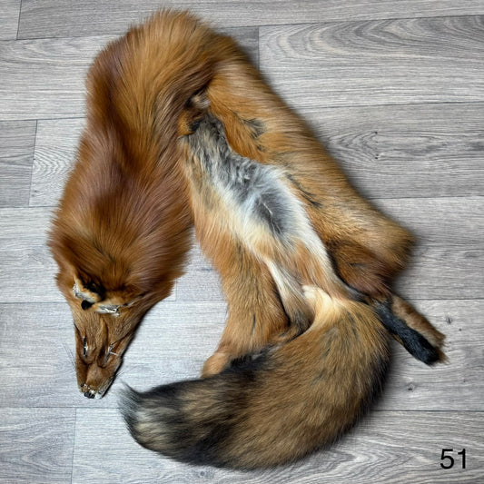 Gold fox pelt (51)