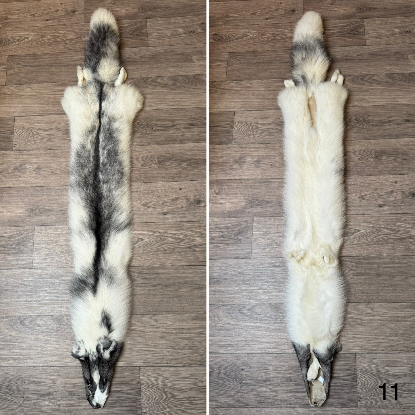Marble Frost fox pelt (11)