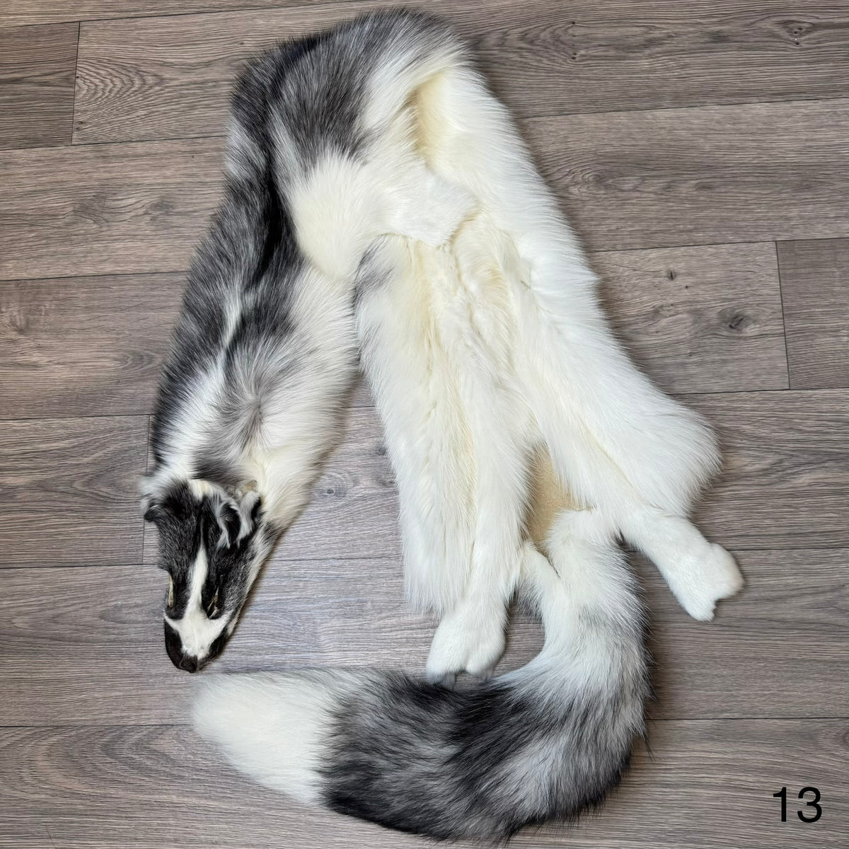 Marble Frost fox pelt (13)