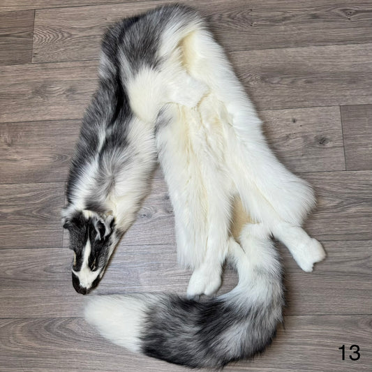 Marble Frost fox pelt (13)