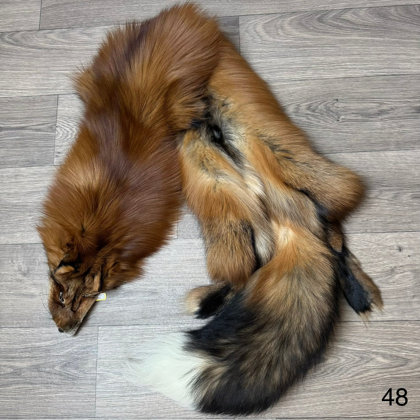 Gold fox pelt (48)