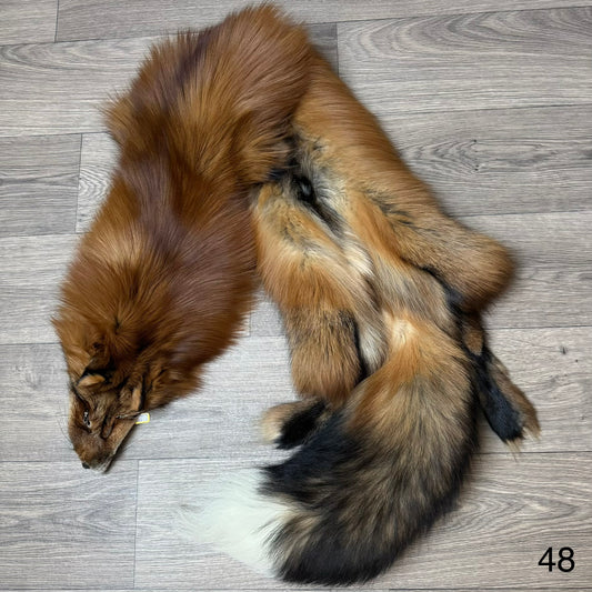 Gold fox pelt (48)