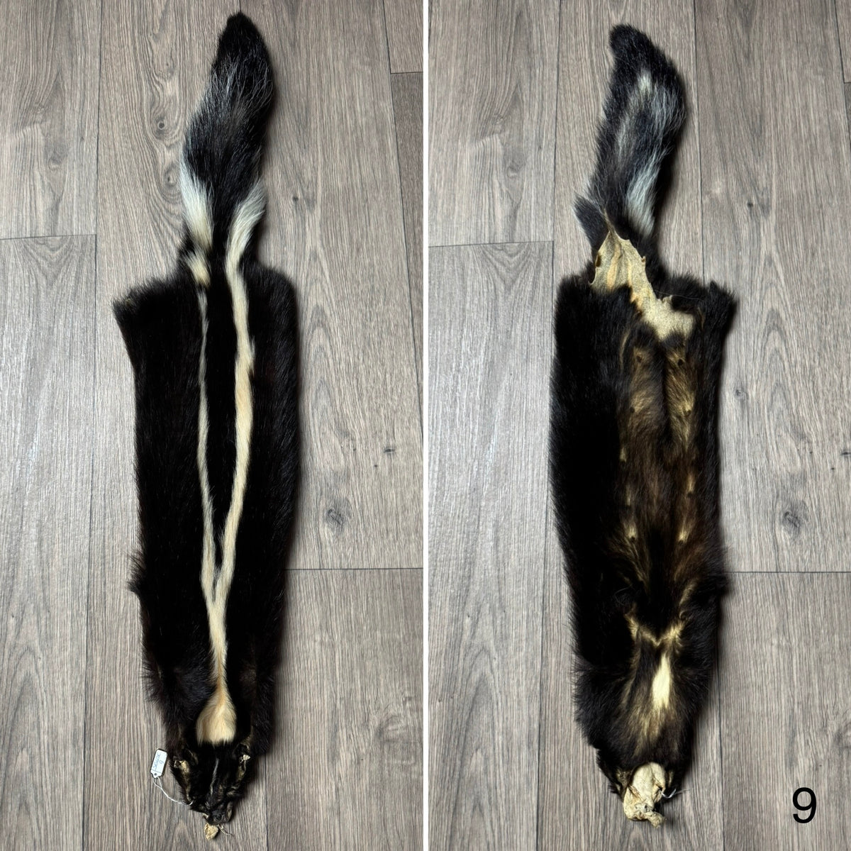 Skunk pelt (9)