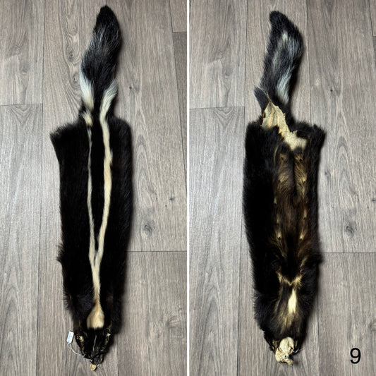 Skunk pelt (9)