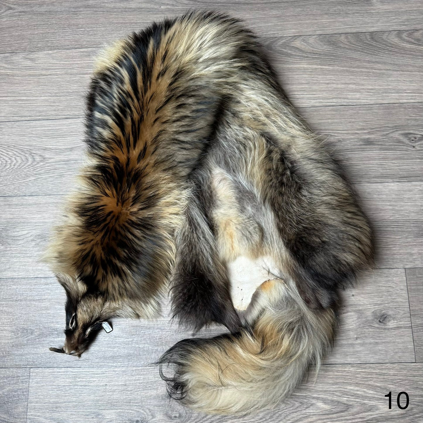 Tanuki pelt (10)