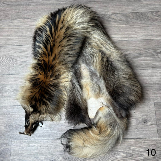 Tanuki pelt (10)