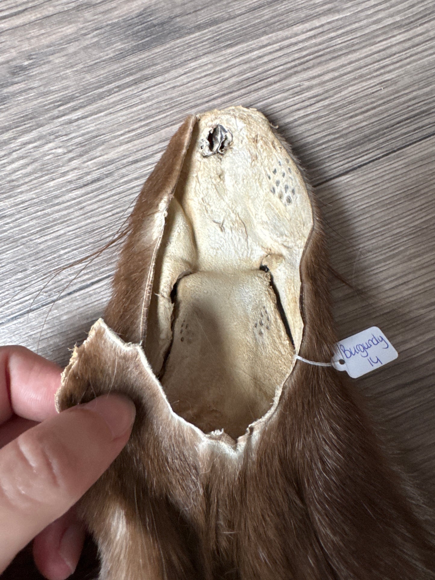 Burgundy fox pelt (14)