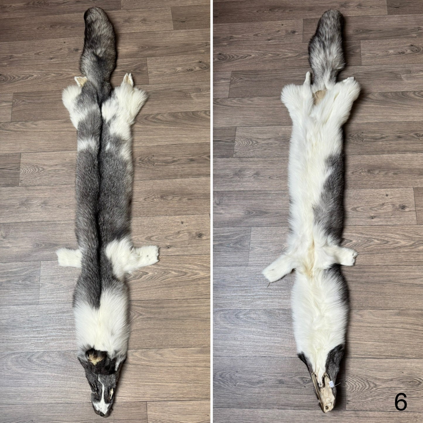 Marble Frost fox pelt (6) (extremely large pelt)