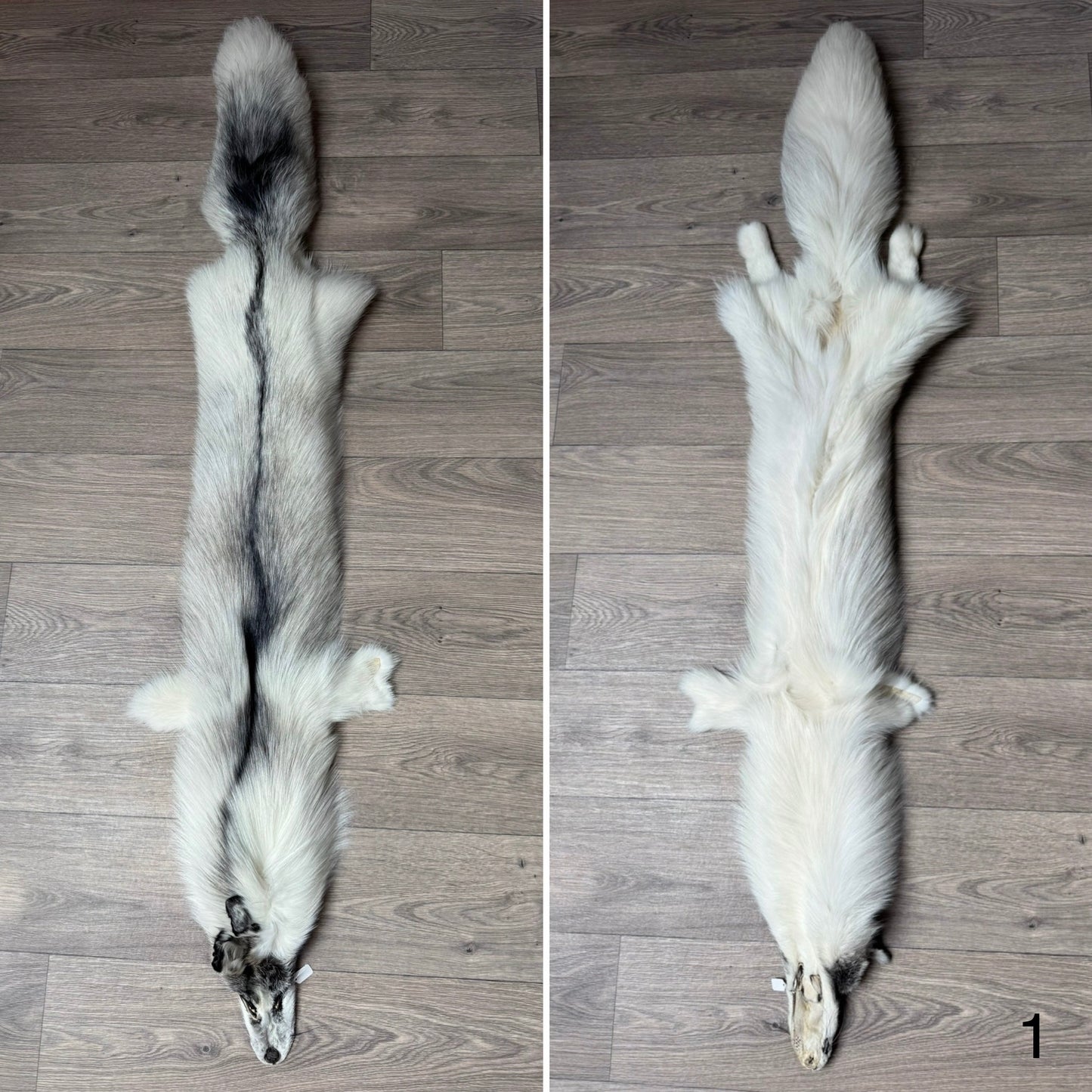Cross Marble fox pelt (1)