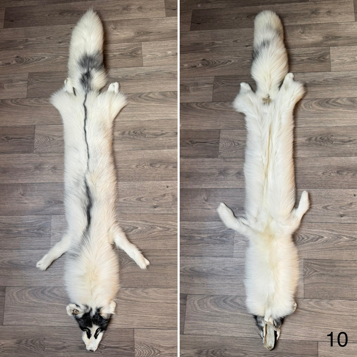 Arctic Marble fox pelt (10)