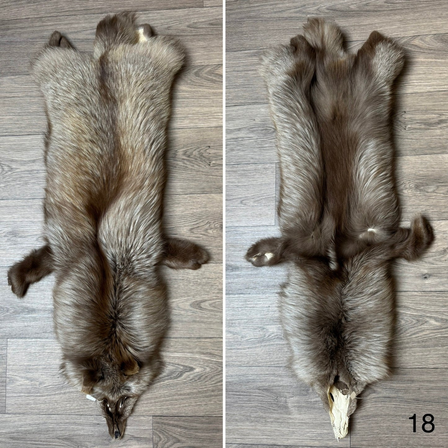 Polish Pastel fox pelt (18)