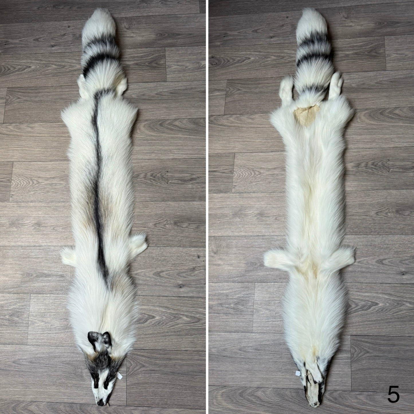 Cross Marble fox pelt (5)