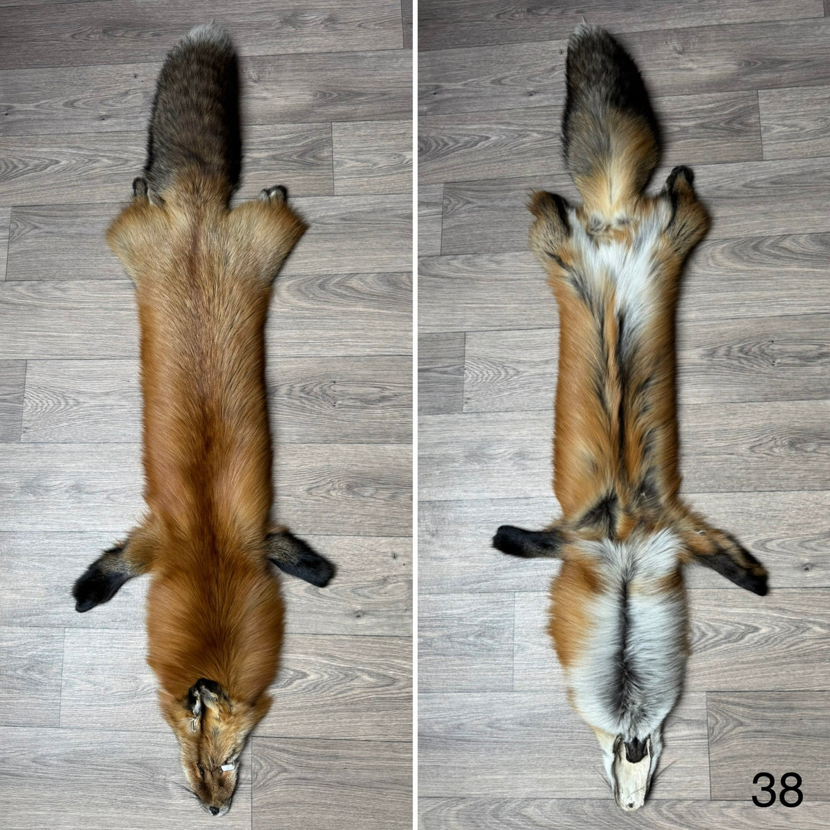Gold fox pelt (38)