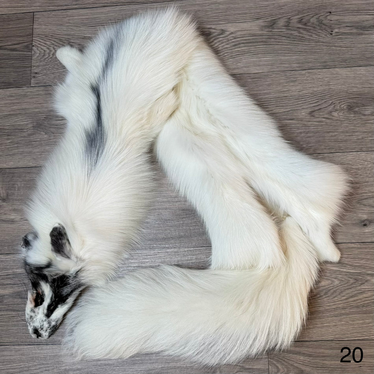 Arctic Marble fox pelt (20)