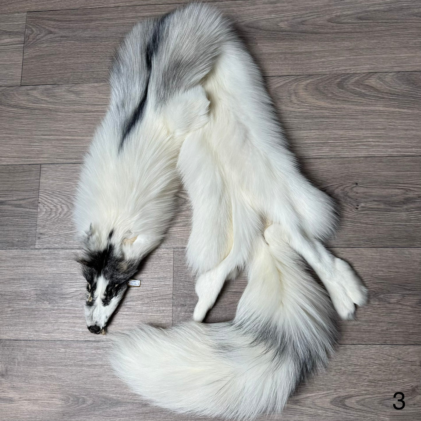 Cross Marble fox pelt (3)