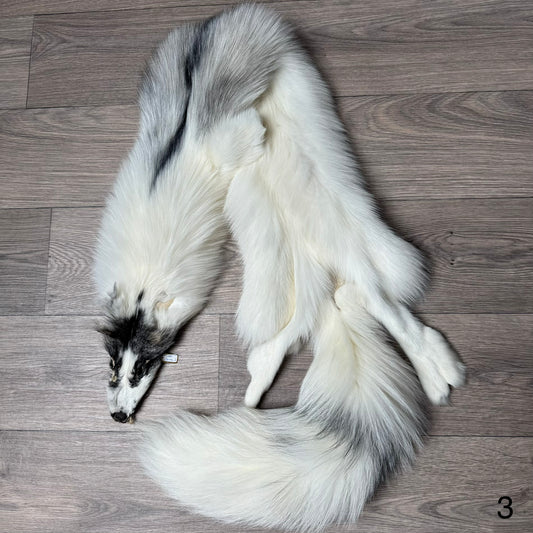 Cross Marble fox pelt (3)