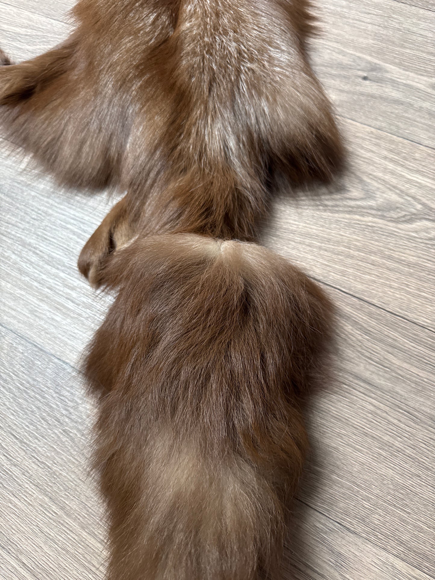 Burgundy fox pelt (14)