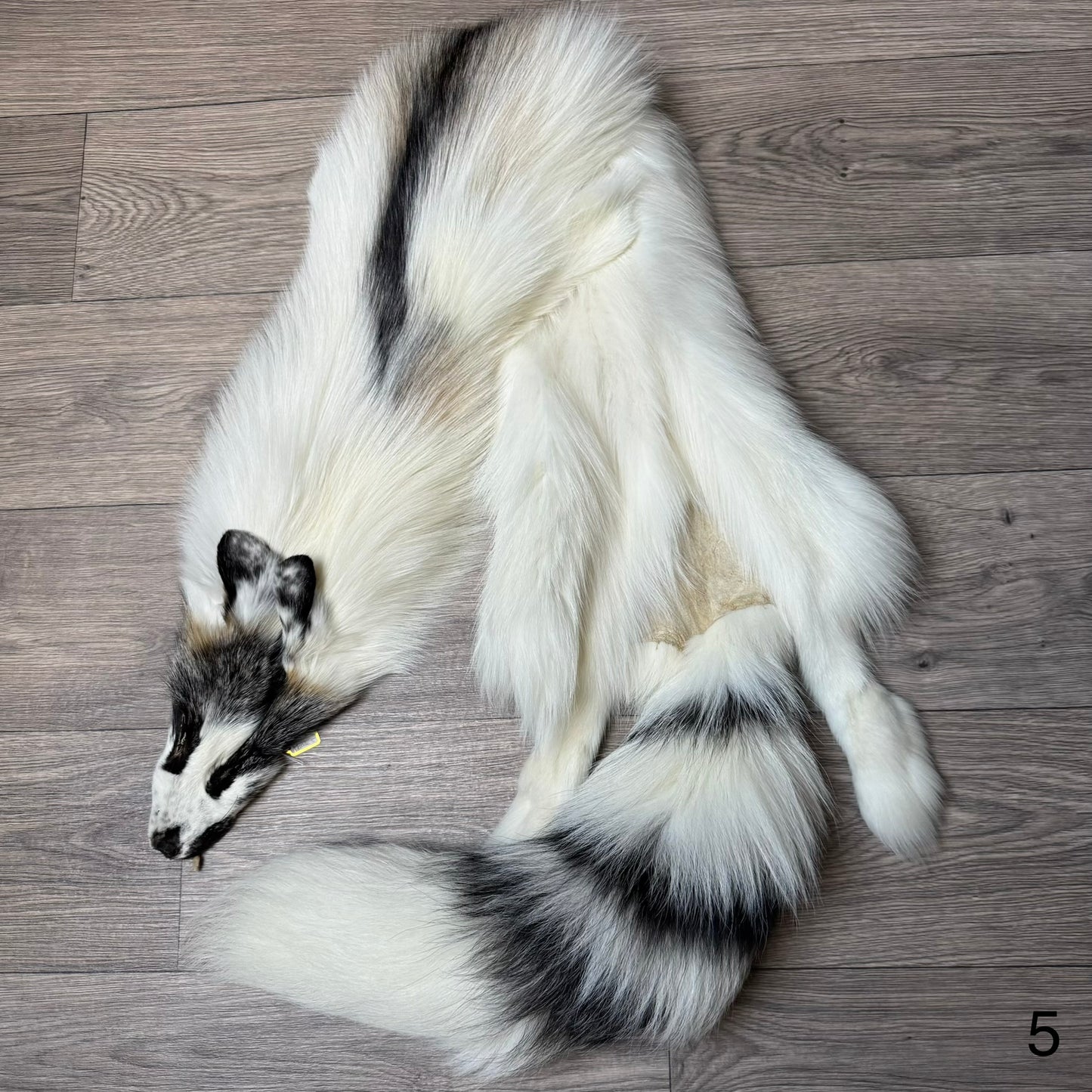 Cross Marble fox pelt (5)