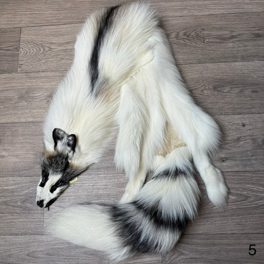Cross Marble fox pelt (5)