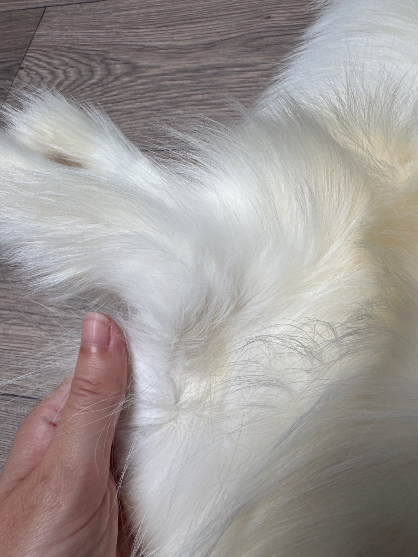 Cross Marble fox pelt (11)