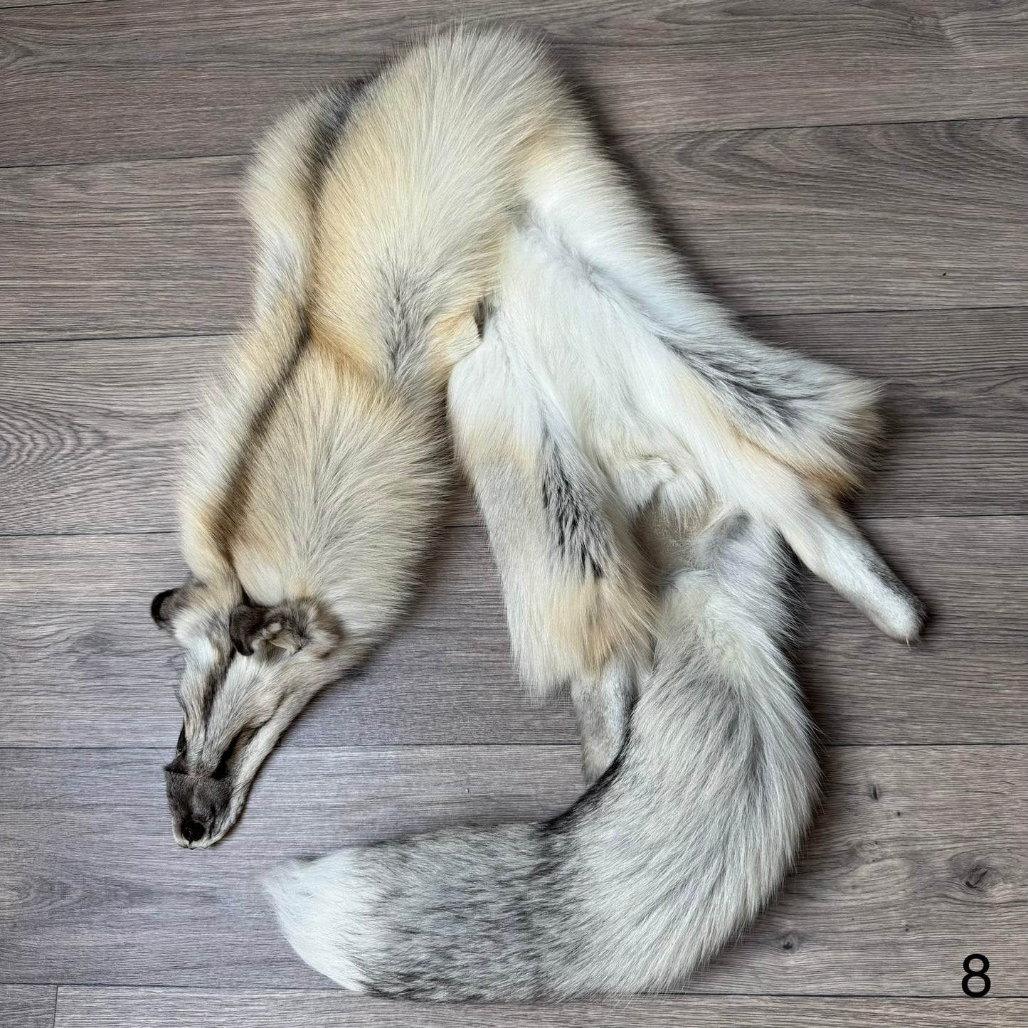 Fawn Light fox pelt (8)