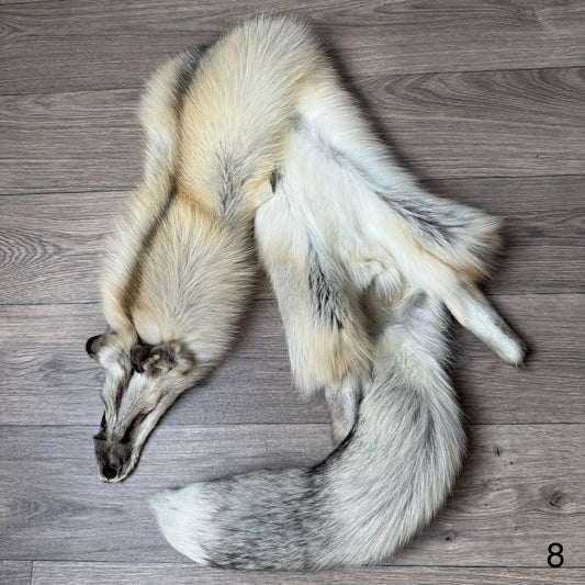 Fawn Light fox pelt (8)